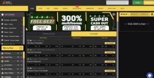 www.habeshabets.com desktop - habesha bet review